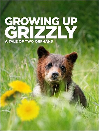Stiahni si Dokument Dospívání grizzlyho: Příběh dvou sirotků / Growing up Grizzly: A Tale of Two Orphans (2022)(CZ)[TvRip][1080p] = CSFD 75%