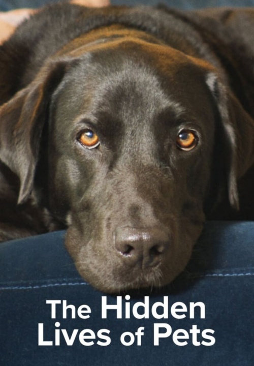 Stiahni si Dokument Co se skrývá v mazlíčcích  /  The Hidden Lives of Pets (S01)[WebRip](2022)[1080p] = CSFD 77%