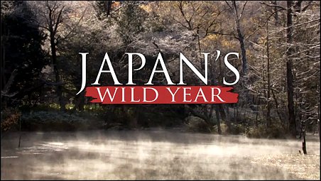 Stiahni si Dokument Rok v japonské divočině / Japan's Wild Year (2015)(CZ)[TvRip][1080p] = CSFD 83%