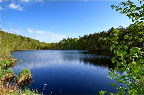 Stiahni si Dokument Kouzelná jezera / Wildes Deutschland: Die Müritz (2014)(CZ)[TvRip][1080p] = CSFD 69%
