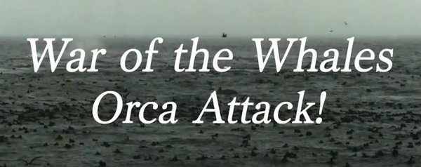 Stiahni si Dokument Valka kytovcu - kosatky utoci / War of the Whales: Orca Attack! (2012)(CZ)[WebRip][720pLQ] = CSFD 86%
