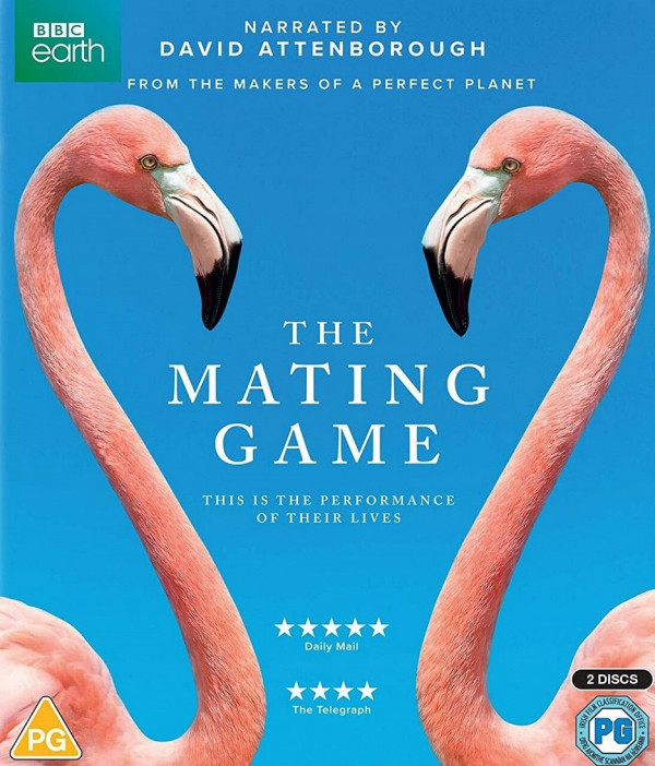 Stiahni si Dokument Námluvy ve světě zvířat / The Mating Game 1. serie (2021)(CZ/EN/PL)[2160p][WEB-DL][HEVC] = CSFD 92%