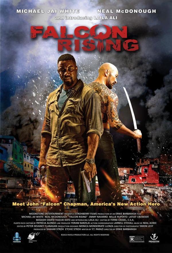 Stiahni si Filmy s titulkama Falcon Rising (2014)[WebRip] = CSFD 55%