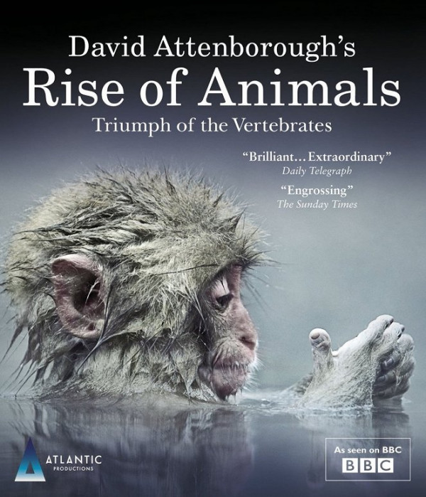 Stiahni si Dokument Zvířata a Attenborough / Rise of Animals - Triumph of the Vertebrates (2013)[720p][xvid][EN][hardsubs SK] = CSFD 91%