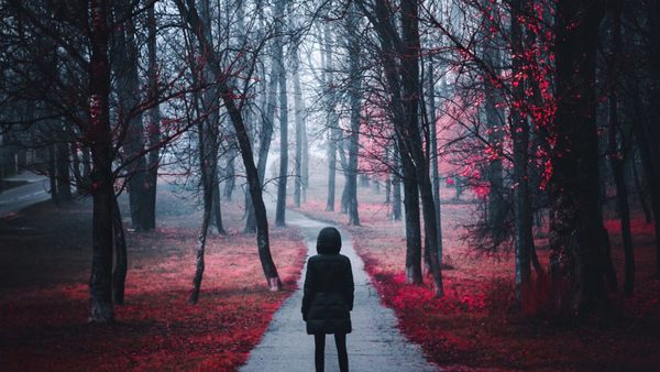 Stiahni si Mluvené slovo Silvia Divekyova - Liliova prikryvka (2019)(CZ)