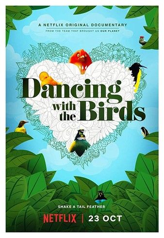 Stiahni si Filmy s titulkama Kdyz ptaci tanci / Dancing with the Birds (2019)[WebRip]
