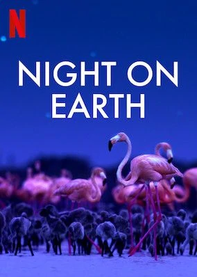 Stiahni si Dokument Zeme za noci / Night on Earth S01 [WebRip][1080p] = CSFD 88%