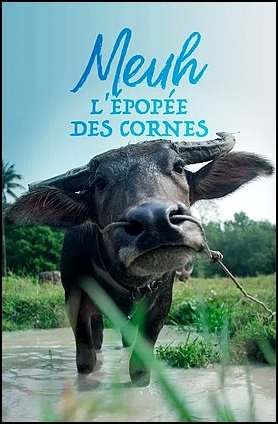 Stiahni si Dokument Múú! Impozantné rohy / Meuh ! L’épopée des cornes E01-E04 (2021)(SK)[WebRip][1080p] = CSFD 73%