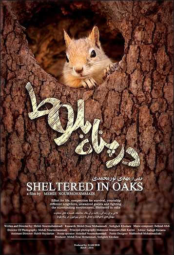 Stiahni si Dokument Veverky - skryté v kmenech dubů / Sheltered in Oaks (2016)[TvRip][1080p] = CSFD 87%