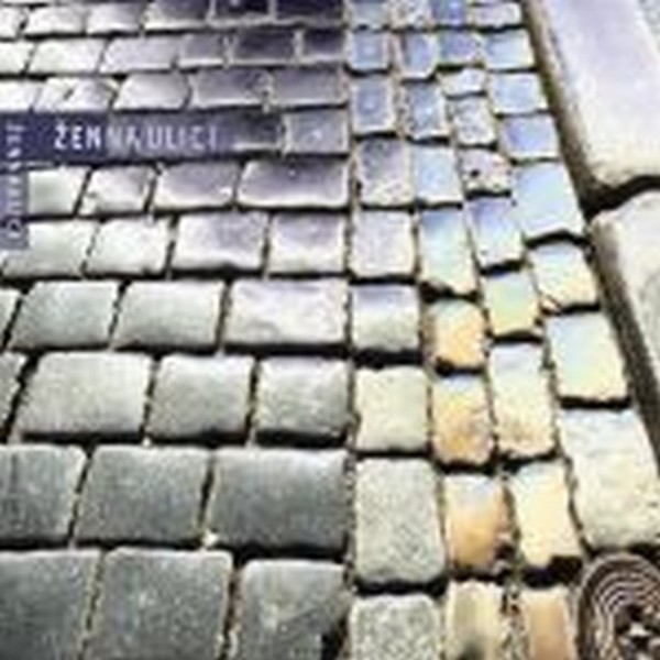 Stiahni si Hudba Zen - Na ulici (2020)[MP3.CBR.320]