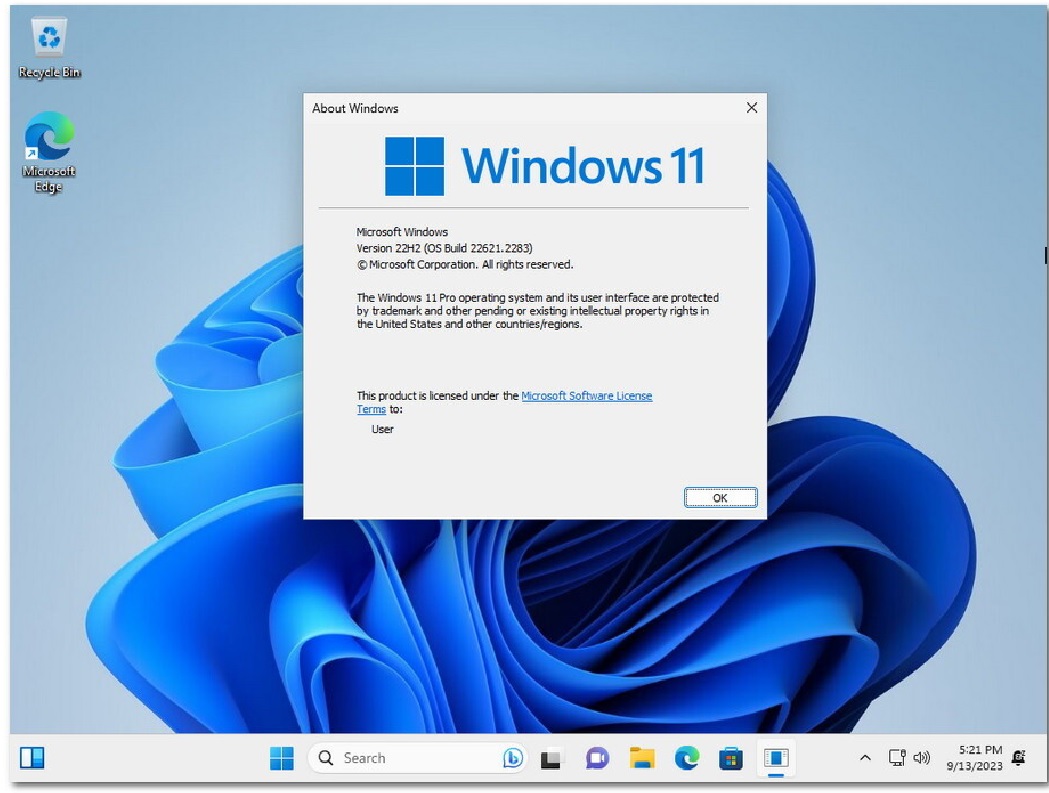 Windows 11 X64 22H2 Pro 3in1 OEM ESD MULTi-7 SEP 2023