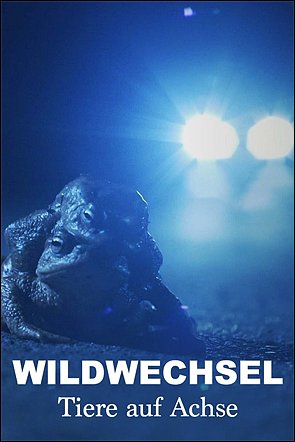 Stiahni si Dokument Zvířecí přechody / Wildwechsel - Tiere auf Achse (2023)(CZ)[TvRip][1080p] = CSFD 50%