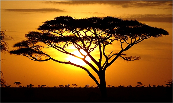 Stiahni si Dokument Tanzanie ze Zanzibaru do Kilwy / Tanzanie de Zanzibar à Kilwa (2017)(CZ/FR)[TvRip][1080p] = CSFD 78%