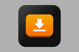 Stiahni si Programy iDownerGo 10.2.1 Multilingual[meu2022]