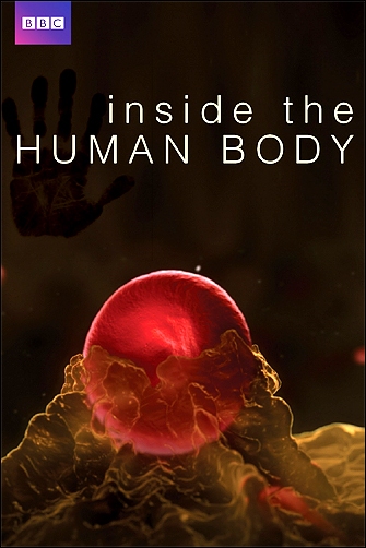 Stiahni si Dokument Uvnitř lidského těla / Inside the Human Body (2011)(CZ)[TvRip][1080p] = CSFD 84%
