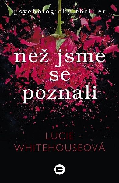 Stiahni si Mluvené slovo Whitehouse Lucie - Nez jsme se poznali (divil)(10h50m25s)