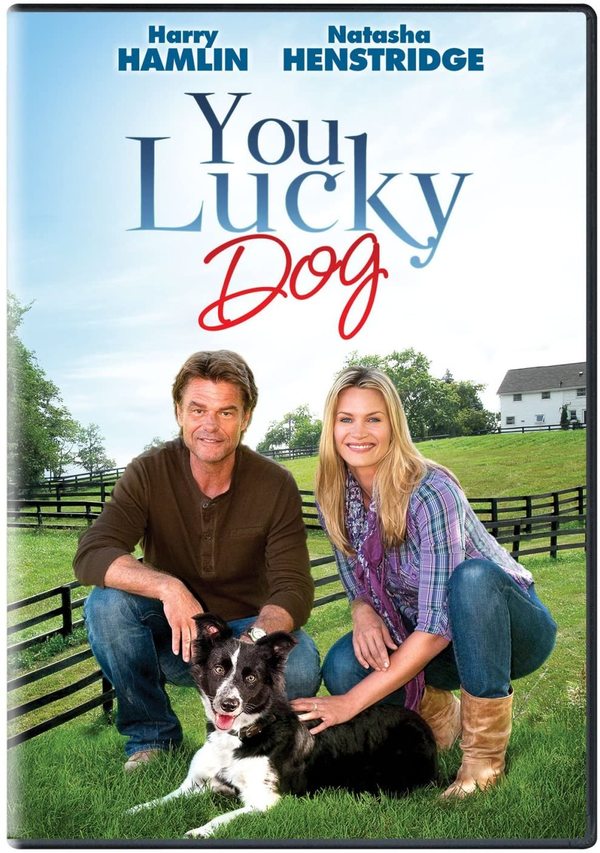 Stiahni si HD Filmy Stesti jmenem Lucky / You Lucky Dog (2010)(CZ/EN)[1080p][WEBRip] = CSFD 46%