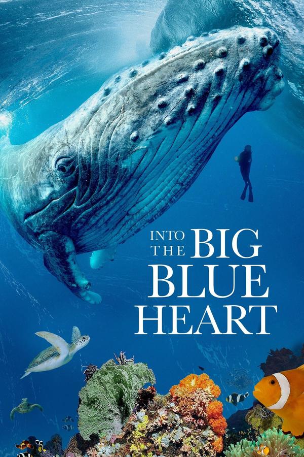 Stiahni si Seriál V modrých hĺbkach / Into the Big Blue Heart Ocean Currents (2021)(SK)[TvRip][HEVC][720p] = CSFD 88%