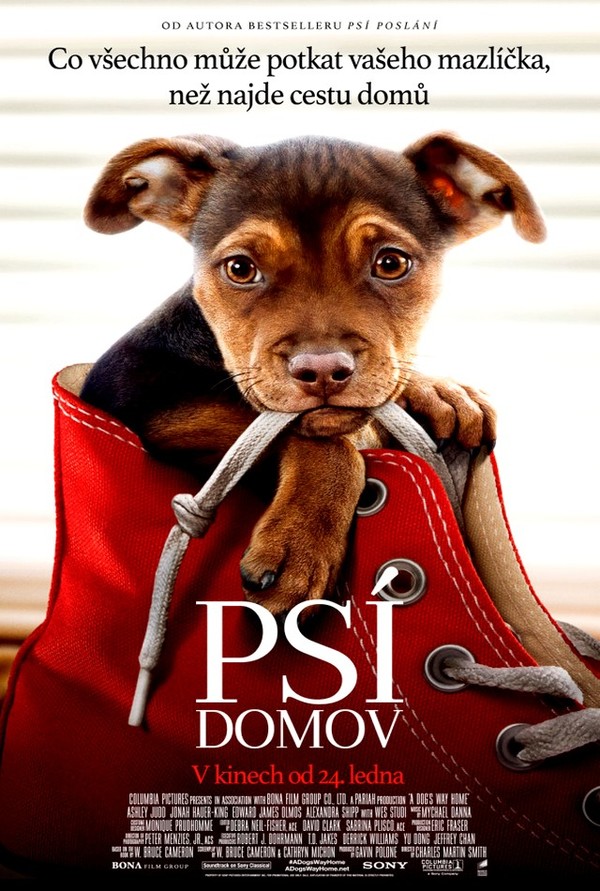 Stiahni si Filmy s titulkama Psí domov / A Dog's Way Home (2019)[WebRip] = CSFD 67%