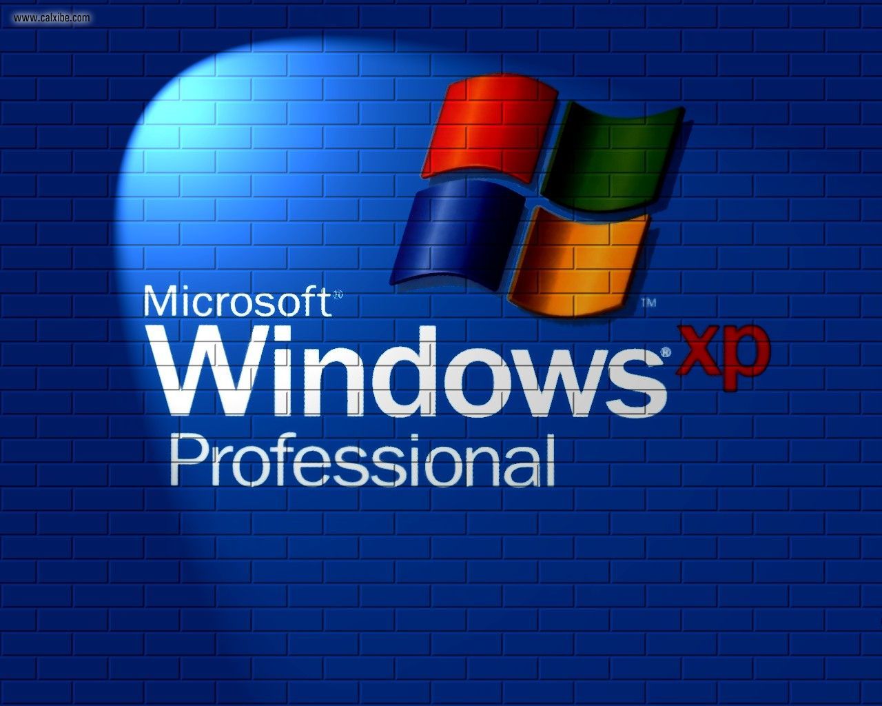 Windows Xp Professional 32bit (CZ)