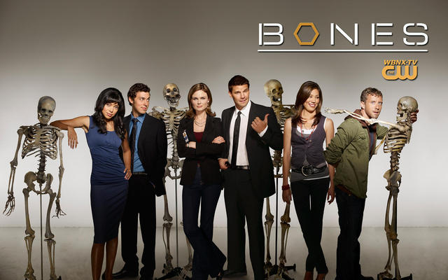 Kosti / Bones  1-8 serie (2005-2012)(CZ-SK)