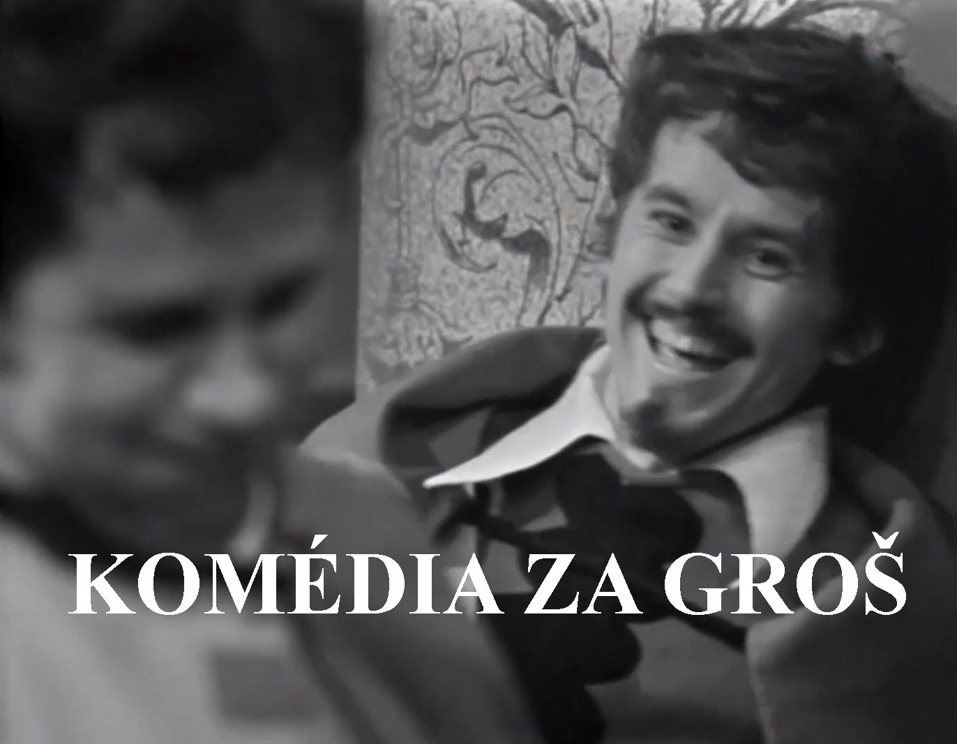Stiahni si Filmy CZ/SK dabing Komedia za gros (1975)(SK)[TvRip] = CSFD 53%