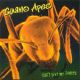 Stiahni si Hudba Guano Apes - Don´t Give Me A Names (2000)