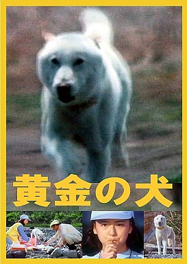 Stiahni si Seriál Goro, bílý pes / Ôgon no inu 1. série (1980)(CZ) = CSFD 75%