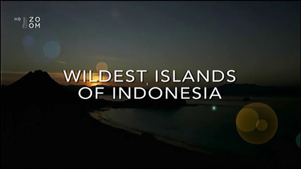 Stiahni si Dokument Nejdivocejsi ostrovy Indonesie / Wildest Islands Of Indonesia (CZ)(2016)[TvRip]