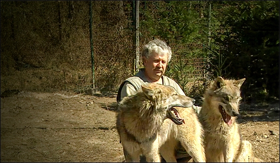 Stiahni si Dokument Kdo chce s vlky žíti (2003)(CZ)[1080p][TvRip][HEVC] = CSFD 85%