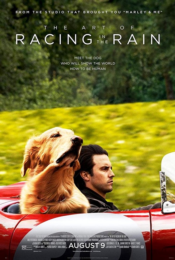 Stiahni si Filmy s titulkama Zivot psima ocima / The Art of Racing in the Rain (2019) = CSFD 80%