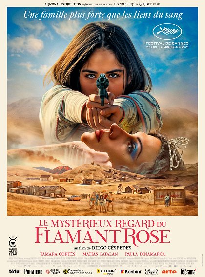 Stiahni si Filmy CZ/SK dabing Záhadný pohled plameňáka / La misteriosa mirada del flamenco (2025)(CZ/ES)[WEB-DL][1080p] = CSFD 71%