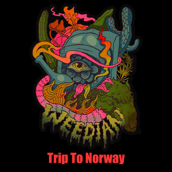 Stiahni si Hudba Weedian - Trip to Norway [MP3 VBR 320]