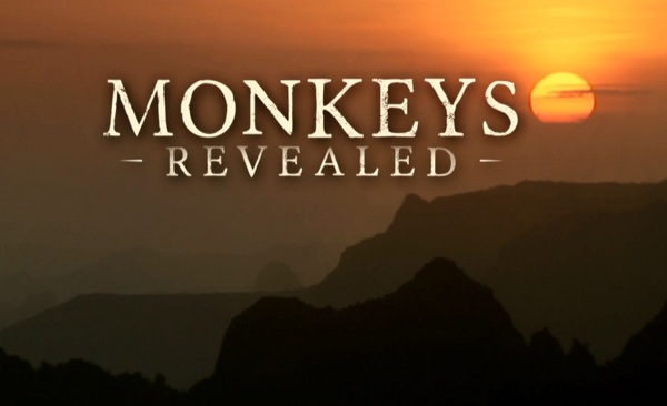 Stiahni si Dokument Uzasny svet opic / Monkeys Revealed (2014)(CZ)[WebRip][1080pLQ] = CSFD 89%