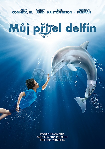 Stiahni si Filmy CZ/SK dabing Muj pritel delfin 1,2 / Dolphin Tale  (2011, 2014)(CZ) = CSFD 71%