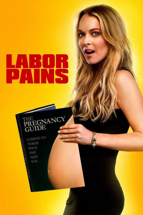 Stiahni si Filmy CZ/SK dabing Šéfe, jsem v tom!/ Labor Pains (2009)(CZ) = CSFD 51%