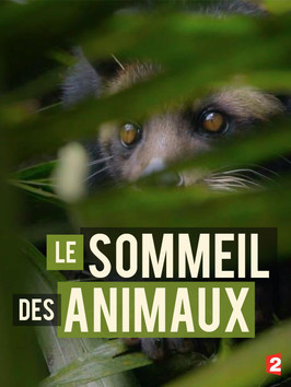 Stiahni si Dokument Jak spi zvirata v prirode / Le sommeil des animaux (2017)(CZ)[TvRip][1080p] = CSFD 75%