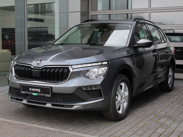 Stiahni si Knihy a Časopisy Škoda Kamiq dielenská príručka