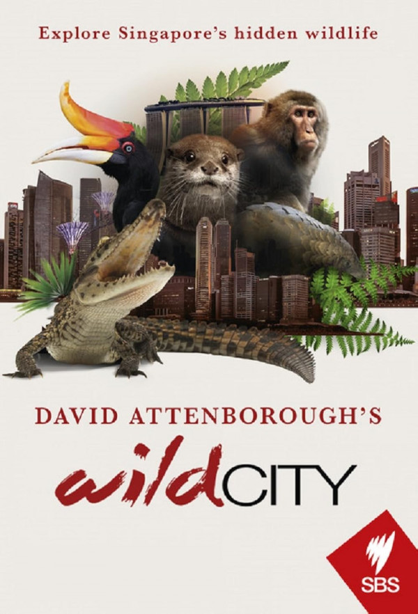 Stiahni si Dokument Divoký Singapur /  Wild City: Singapore  (2015)(1080p) = CSFD 81%