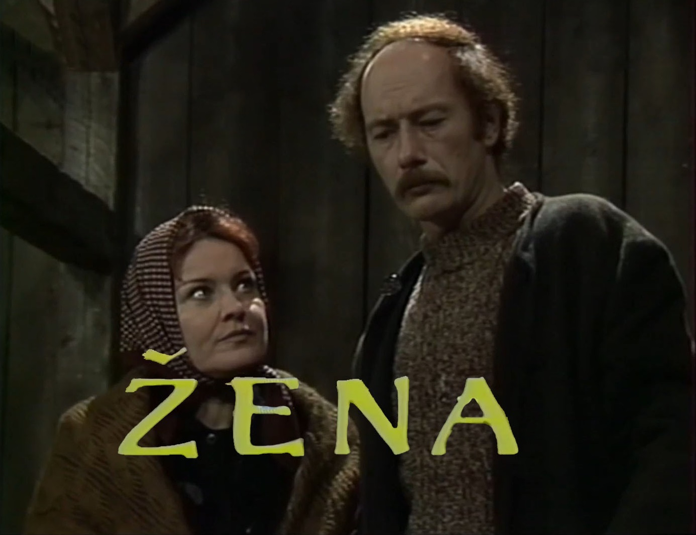 Stiahni si Filmy CZ/SK dabing Zena (1985)(SK)[TvRip] = CSFD 64%
