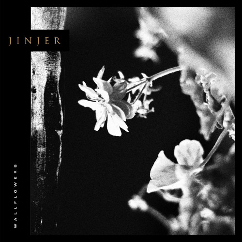 Stiahni si Hudba Jinjer - Wallflowers - 2021, MP3