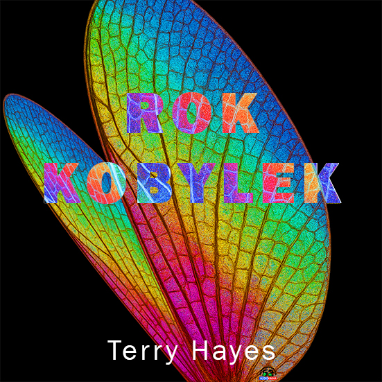 Stiahni si Mluvené slovo Terry Hayes - Rok kobylek (2025)