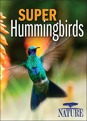 Stiahni si Dokument Úžasný kolibřík / Nature: Super Hummingbirds (2016)(CZ)[1080p][TvRip] = CSFD 90%