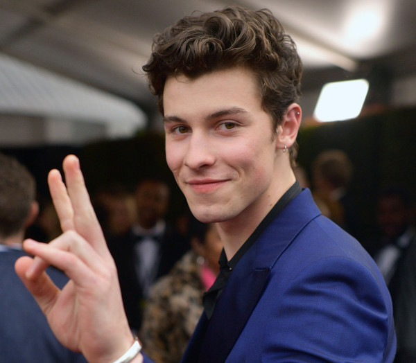 Shawn Mendes Discography (20152020)