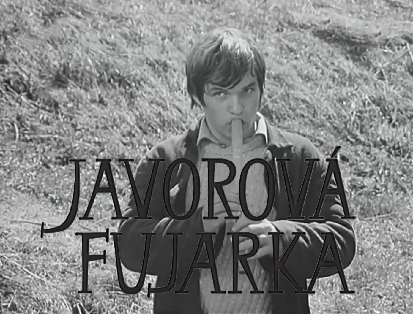 Stiahni si Filmy CZ/SK dabing Javorova fujarka (1973)(SK)[TvRip] = CSFD 76%