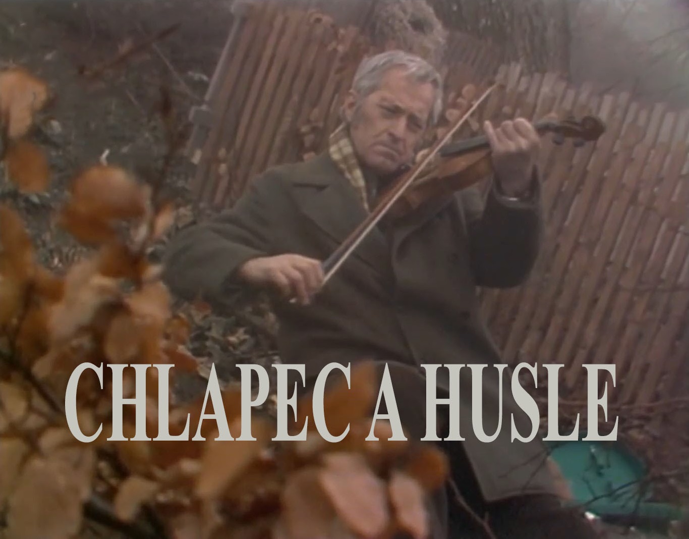 Chlapec a husle / Chlapec s huslami (1982)(SK)[TvRip] = CSFD 51%