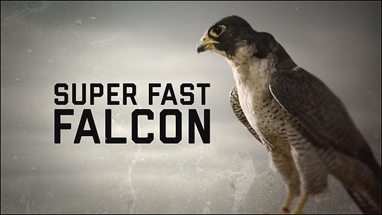 Stiahni si Dokument Sokoli: Nejrychlejší ptáci světa / Super Fast Falcon (2018)(CZ)[TvRip][1080p] = CSFD 85%