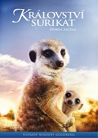Stiahni si Dokument Kralovstvi Surikat Pribeh zacina / Meerkat Manor: The Story Begins (CZ)(2008) = CSFD 82%