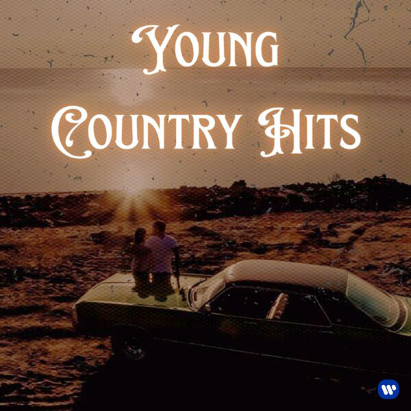 Stiahni si Hudba VA - Young Country Hits (2025)[FLAC]