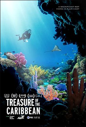 Stiahni si Dokument Klenoty Kajmanské koruny / Treasure of the Caribbean (2023)(CZ)[TvRip][1080p] = CSFD 50%